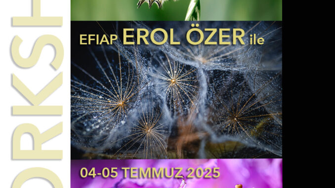 makro